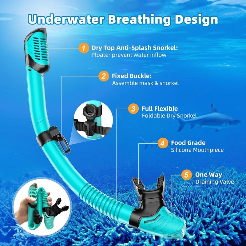 Honlanor Snorkel Set Adults Snorkeling Gear Anti-Leak and Anti-Fog Tempered Glass Lens Panoramic View Swim Mask Dry Top Snorkel Kit for Snorkeling Scuba Diving Swimming Travel with Carry Bag - Image 5